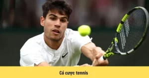 Khám Phá Cá Cược Quần Vợt 33WIN: Hành Trình Thú Vị Cho Người Mới